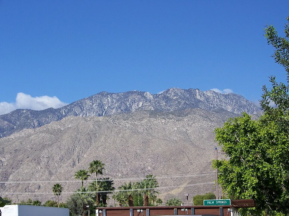 Palm trees and Mount San Jacinto above downtown Palm Springs